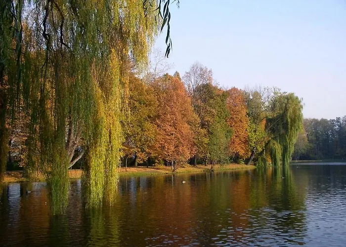 Comfortbiznes Pruszków